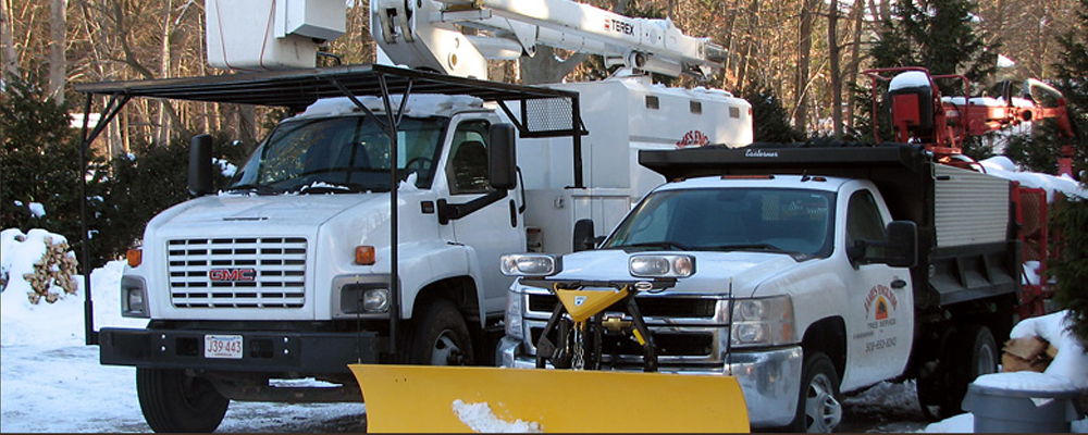 Our tree service trucks in Wayland, MA
